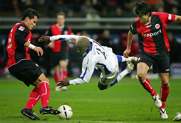 来大放异彩 来大放异彩